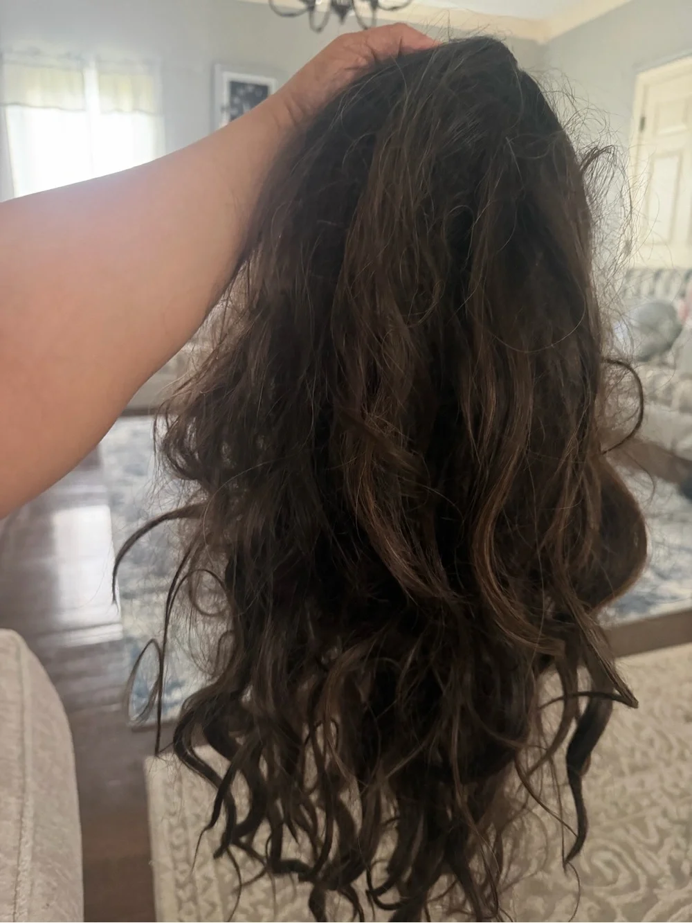 Luxurious Long Wavy Hair Extensions in Clip Dark Brown Blonde Highlights 20